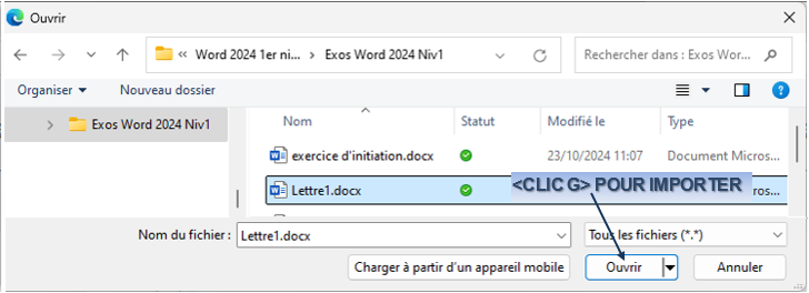 Une image contenant texte, capture d’écran, logiciel, Police
Le contenu généré par l’IA peut être incorrect.